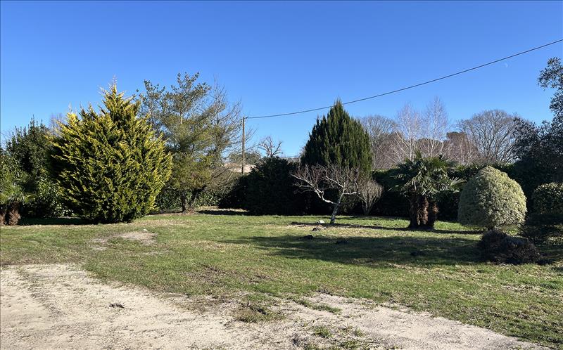 Vente Terrain SOUSTONS - -1094 m² - (40140)
