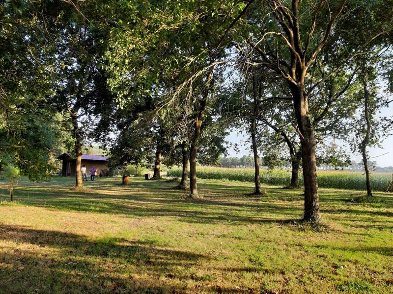 Vente Maison SOUSTONS - 4 pièces -165 m² - (40140)