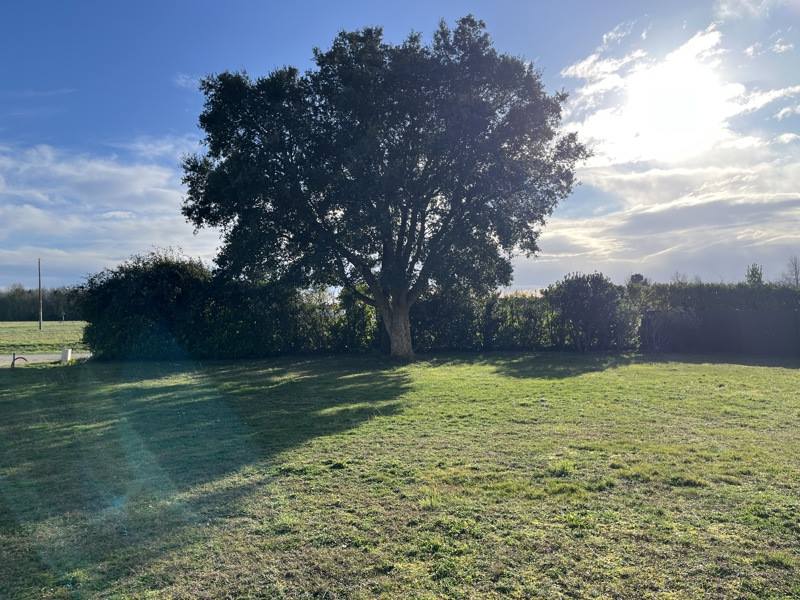 Vente Terrain SOUSTONS - -672 m² - (40140)