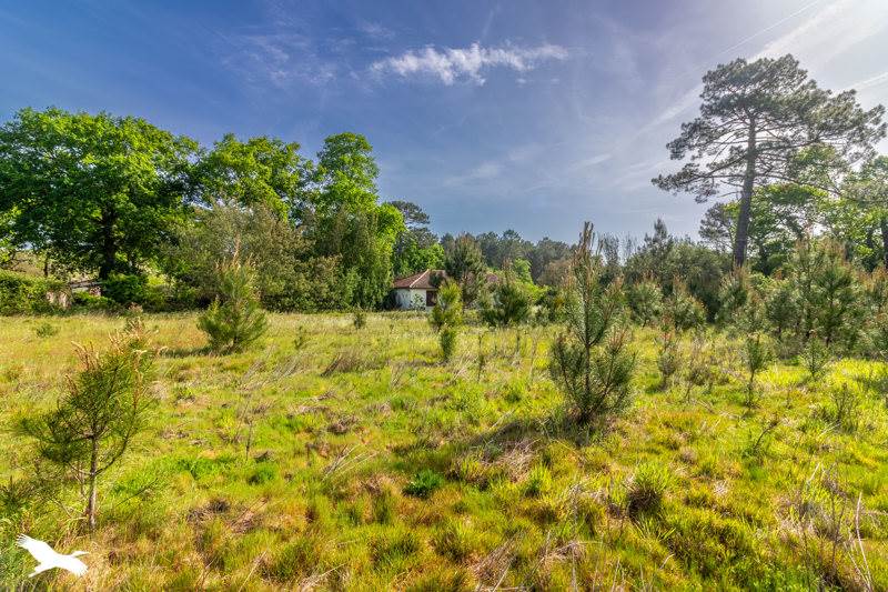 Vente Maison SOUSTONS - 3 pièces -79 m² - (40140)