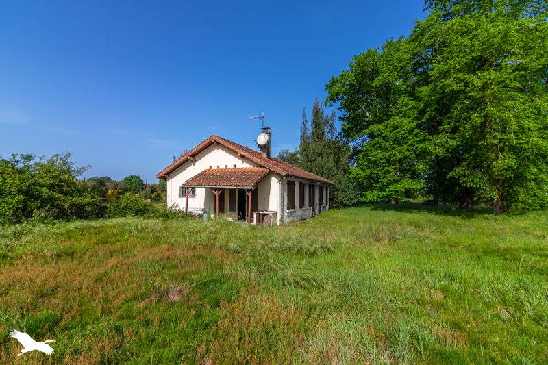 Vente Maison SOUSTONS - 3 pièces -79 m² - (40140)