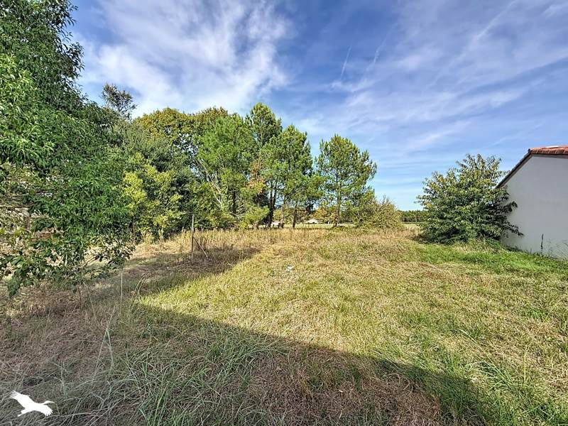 Vente Maison Soustons - 3 pièces -85 m² - (40140)