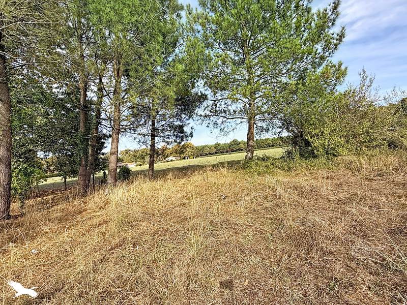 Vente Maison Soustons - 3 pièces -85 m² - (40140)