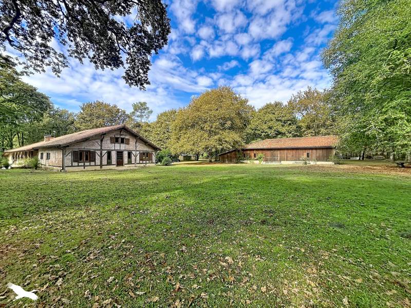 Vente Maison Soustons - 5 pièces -320 m² - (40140)