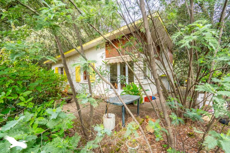 Vente Maison LACANAU - 4 pièces -97 m² - (33680)