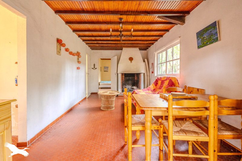 Vente Maison LACANAU - 3 pièces -65 m² - (33680)