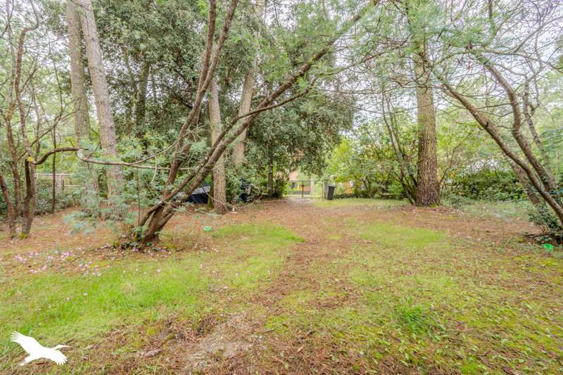 Vente Maison LACANAU - 3 pièces -65 m² - (33680)
