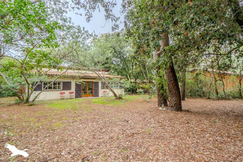 Vente Maison LACANAU - 3 pièces -65 m² - (33680)