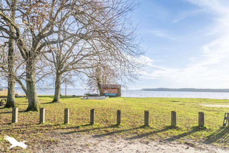Vente Maison LACANAU - 4 pièces -130 m² - (33680)