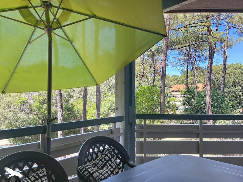 Vente Appartement LACANAU - 3 pièces -44 m² - (33680)
