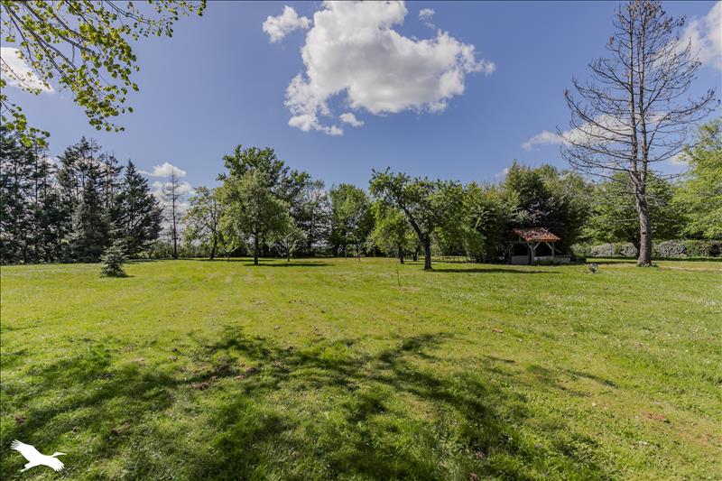 Vente Château ST MARTIN DU BOIS - 12 pièces -472 m² - (33910)