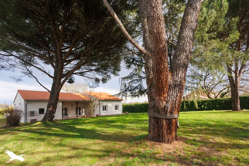 Vente Maison STE FOY D AIGREFEUILLE - 5 pièces -129 m² - (31570)