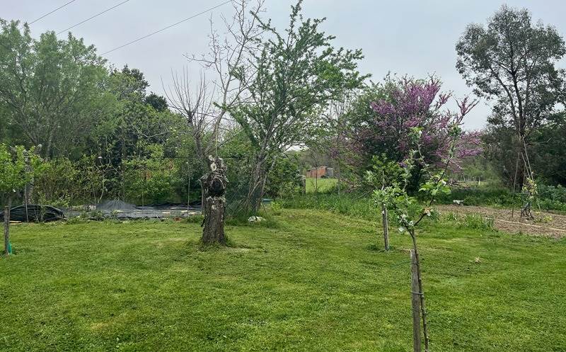 Vente Terrain LANTA - -955 m² - (31570)