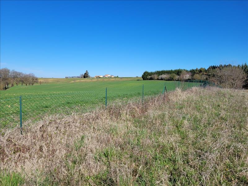 Vente Terrain MAIGNAUT TAUZIA - -3000 m² - (32310)