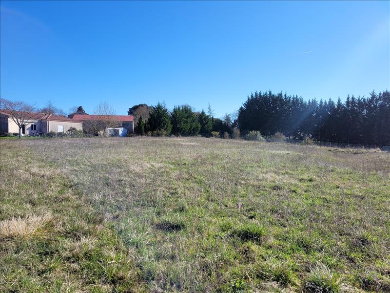 Vente Terrain MAIGNAUT TAUZIA - -3000 m² - (32310)
