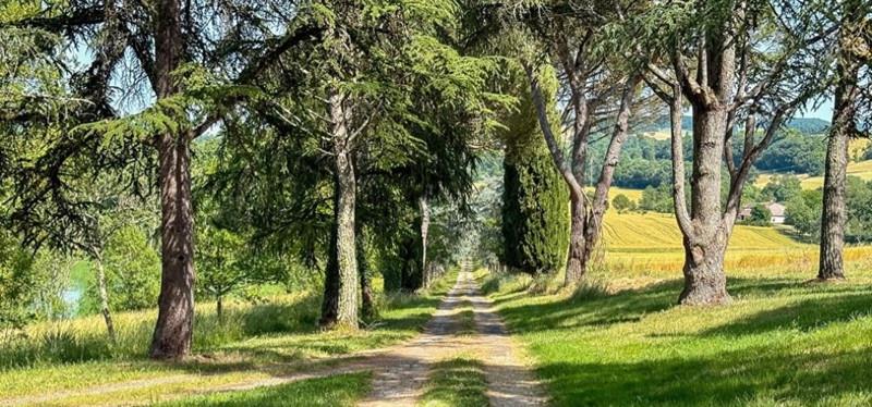 Vente Maison CASTERA VERDUZAN - 13 pièces -490 m² - (32410)