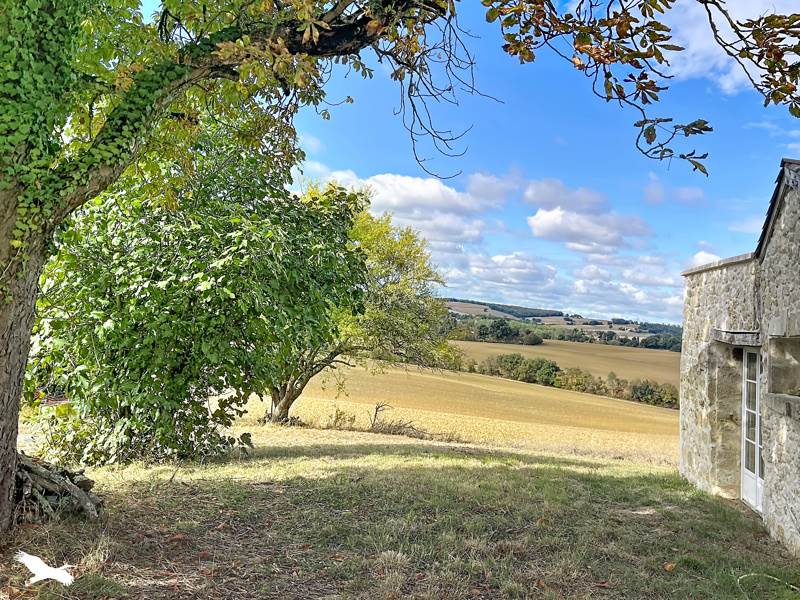 Vente Maison Saint-Puy - 12 pièces -310 m² - (32310)