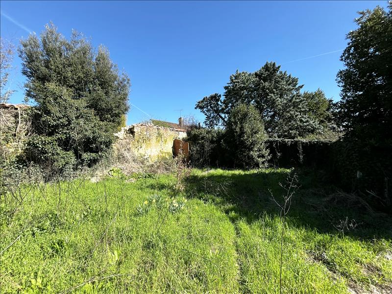 Vente Immeuble CHATEAUNEUF SUR CHARENTE - -  262 m² - (16120)