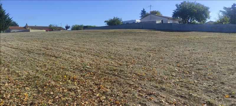 Vente Terrain CHATEAUNEUF SUR CHARENTE - -800 m² - (16120)