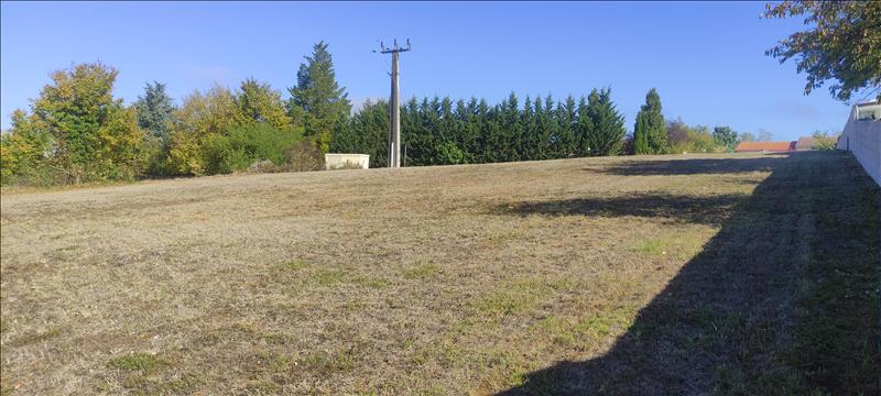 Vente Terrain CHATEAUNEUF SUR CHARENTE - -800 m² - (16120)