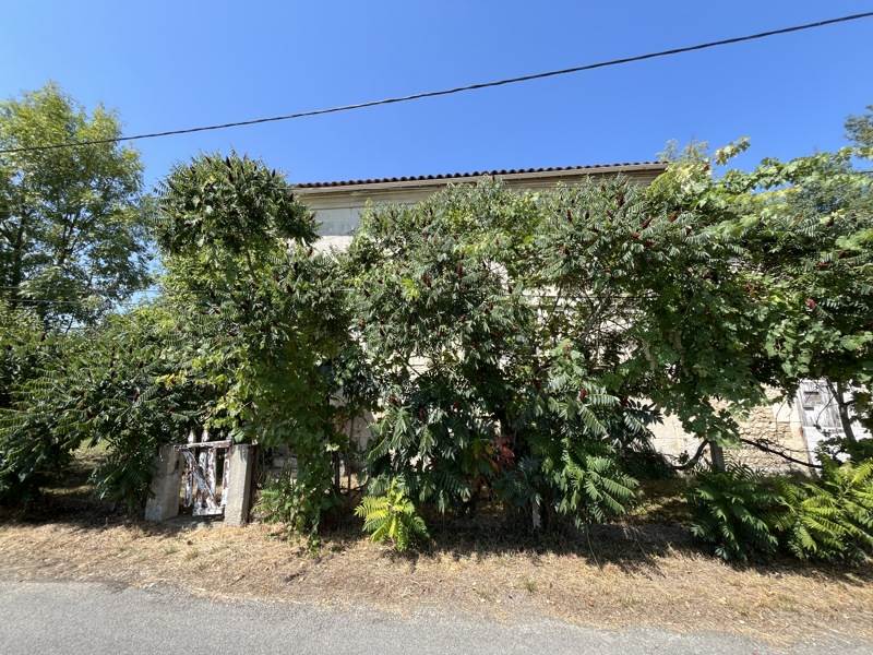 Vente Maison MOSNAC ST SIMEUX - 5 pièces -163 m² - (16120)