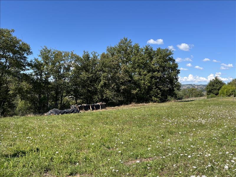 Vente Terrain ST CYPRIEN - -2290 m² - (19130)