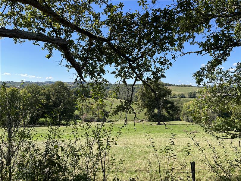 Vente Terrain ST CYPRIEN 19130  