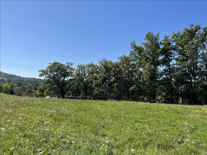 Vente Terrain ST CYPRIEN - -1145 m² - (19130)