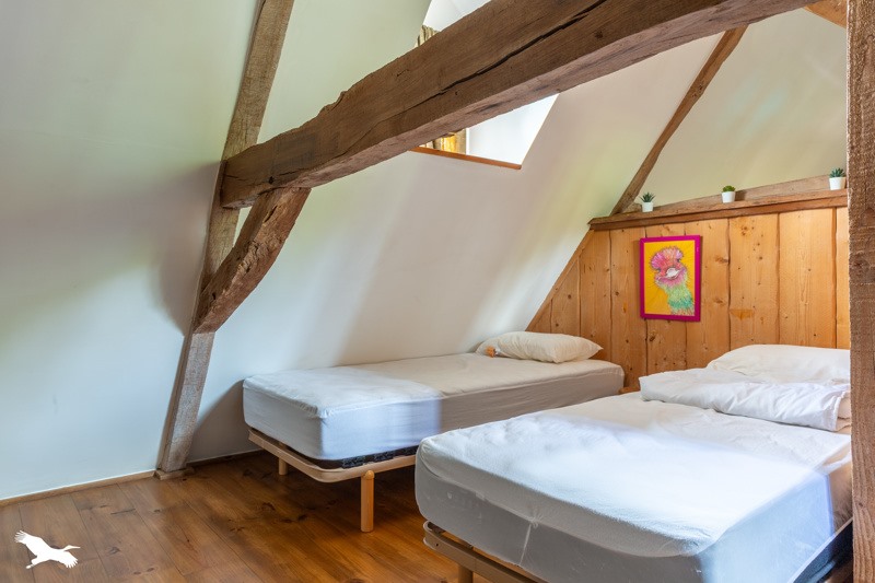 Vente Maison SEGONZAC - 6 pièces -282 m² - (19310)