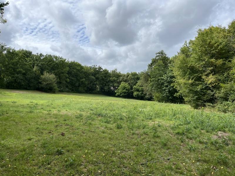 Vente Terrain ST BONNET LA RIVIERE - -12198 m² - (19130)