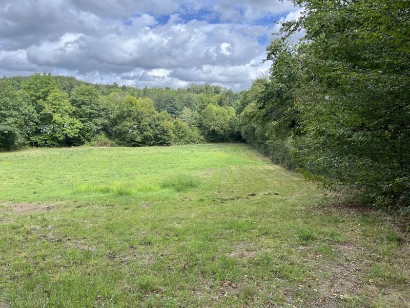 Vente Terrain ST BONNET LA RIVIERE - -12198 m² - (19130)