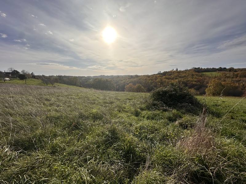 Vente Terrain ST AULAIRE - -3000 m² - (19130)