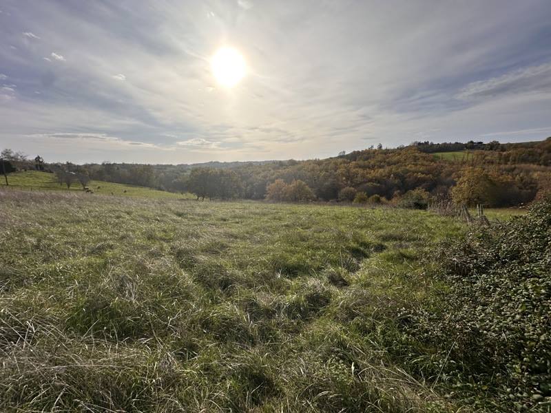 Vente Terrain ST AULAIRE - -3000 m² - (19130)