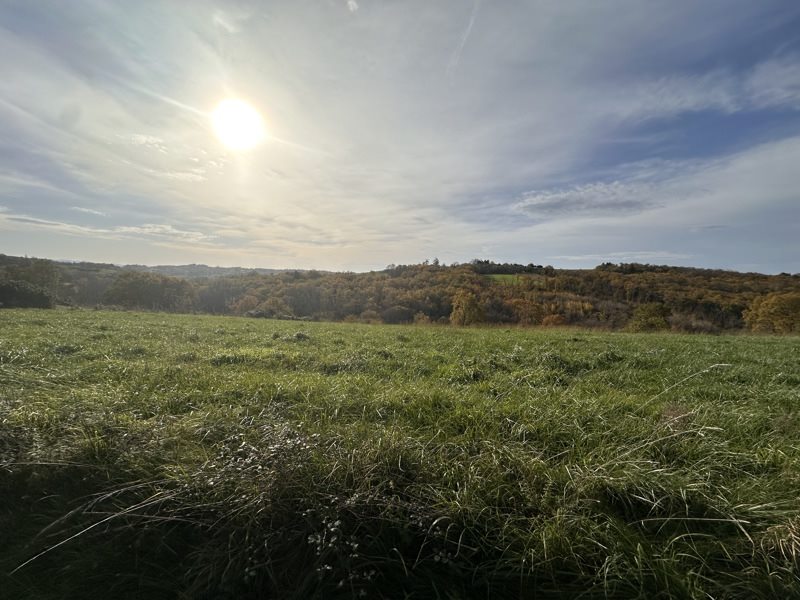 Vente Terrain ST AULAIRE - -3000 m² - (19130)