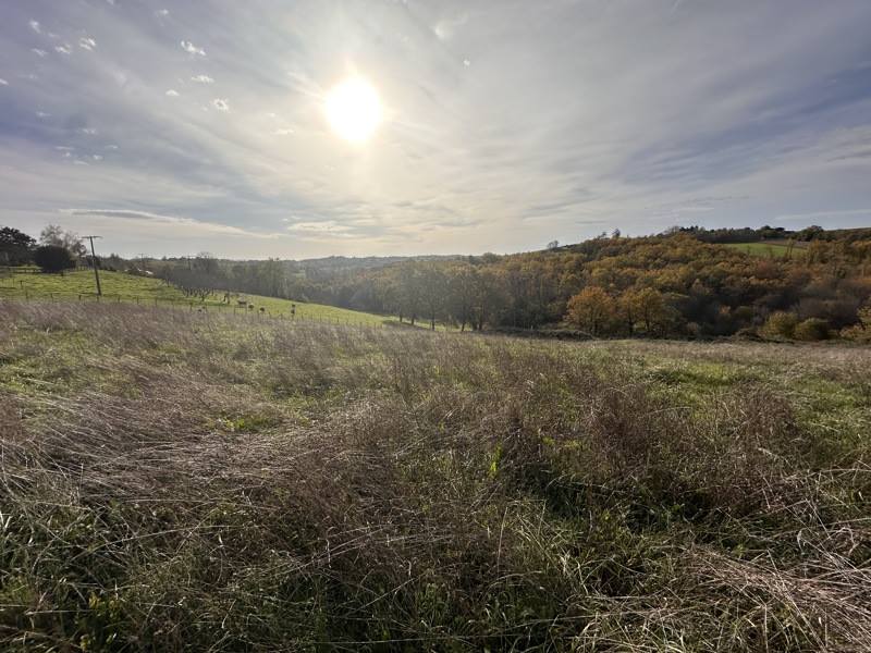 Vente Terrain ST AULAIRE - -5705 m² - (19130)