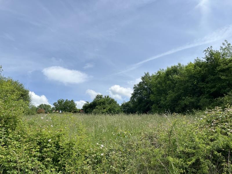 Vente Terrain Vignols - -4800 m² - (19130)