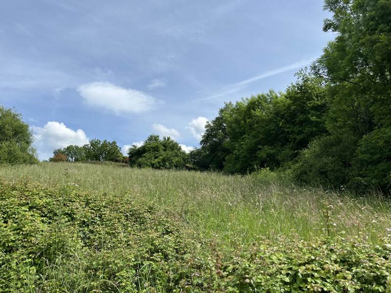 Vente Terrain Vignols - -4800 m² - (19130)