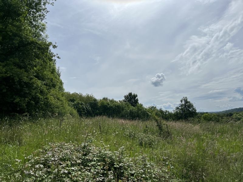 Vente Terrain Vignols - -3400 m² - (19130)