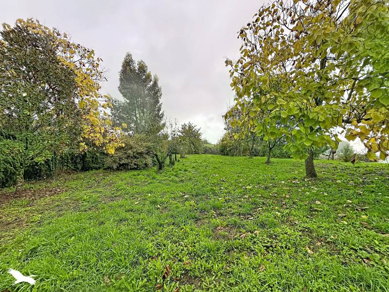 Vente Maison Vignols - 6 pièces -139 m² - (19130)
