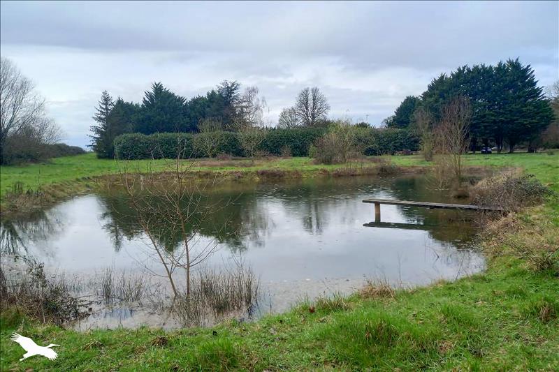 Vente Maison JOUE LES TOURS - 5 pièces -175 m² - (37300)