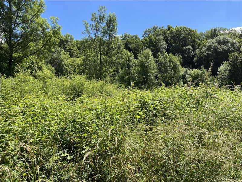 Vente Terrain ST DENIS LES MARTEL - -6681 m² - (46600)