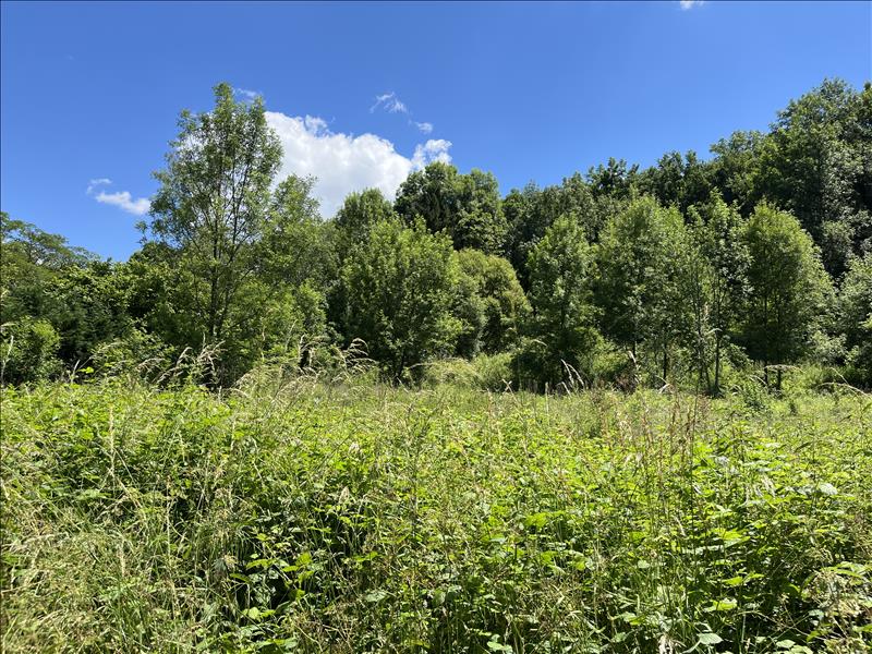 Vente Terrain ST DENIS LES MARTEL - -6681 m² - (46600)