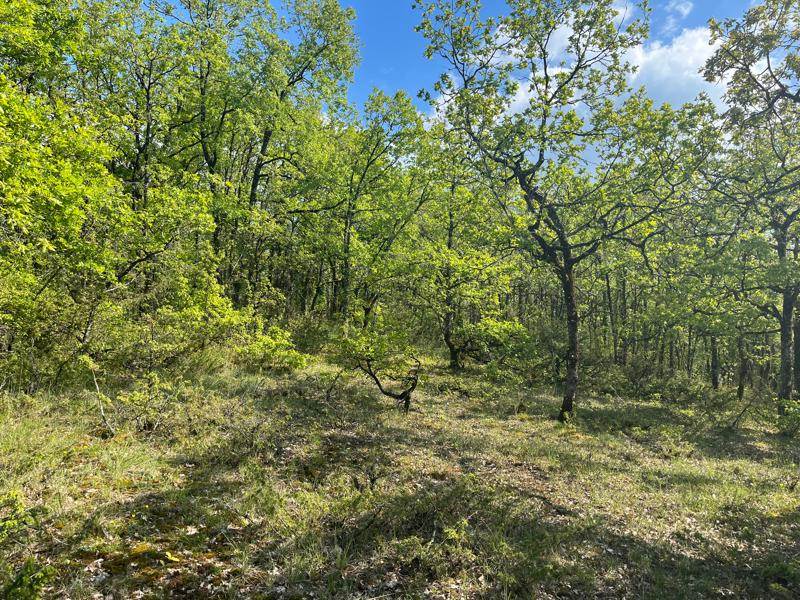 Vente Terrain Cuzance - -2000 m² - (46600)