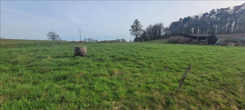 Vente Terrain BASSIGNAC LE BAS 19430  