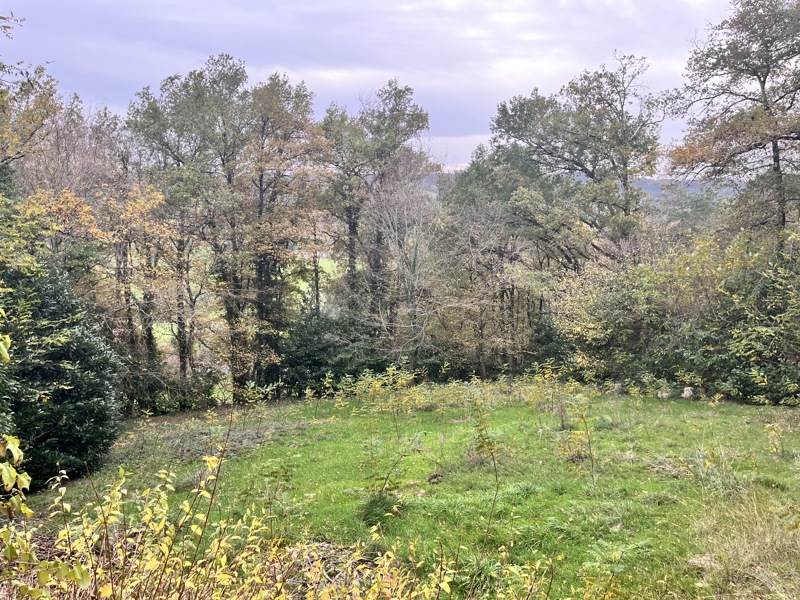 Vente Maison BEAULIEU SUR DORDOGNE - 3 pièces -65 m² - (19120)
