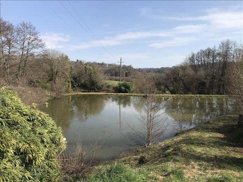 Vente Terrain PIERREFITTE - -2348 m² - (19450)