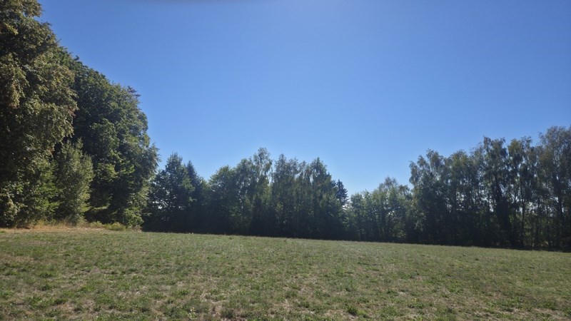 Vente Terrain Saint-Jal - -8315 m² - (19700)