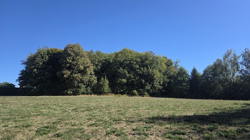 Vente Terrain Saint-Jal - -8315 m² - (19700)