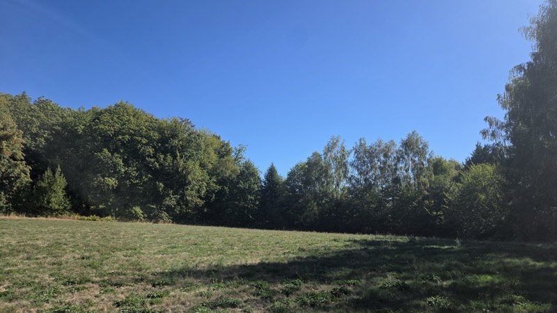 Vente Terrain Saint-Jal - -8315 m² - (19700)