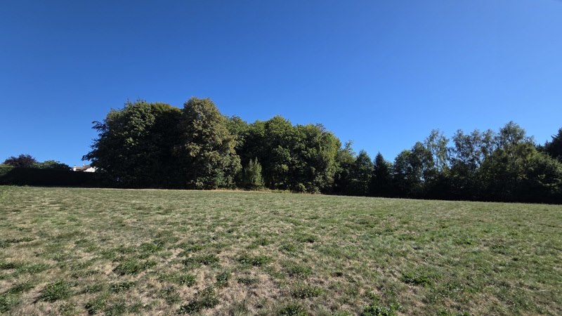 Vente Terrain Saint-Jal - -8315 m² - (19700)
